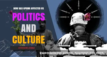 Opium's Impact: Shaping US Politics and Culture