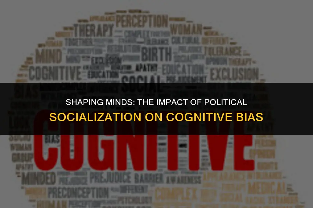 how has political socialization affected cognitive bias