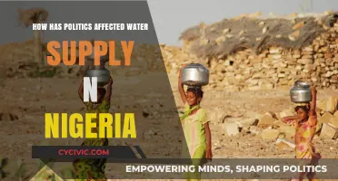 Navigating Nigeria's Water Crisis: The Political Ripple Effect