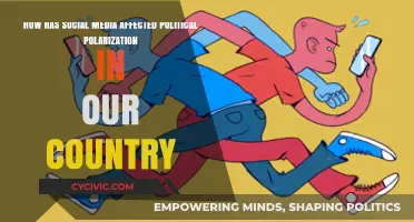 Polarized Nation: Social Media's Impact on Political Division