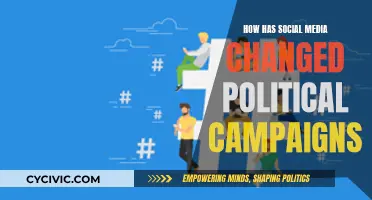 Social Media's Impact on Political Campaigns and Elections