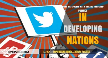 Social Media's Impact on Politics in Developing Nations