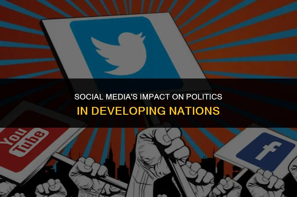 how has social networking affected politics in developing nations