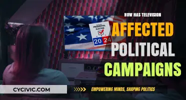 The Impact of Television on Political Campaigns: A Comprehensive Analysis