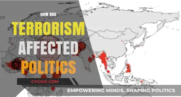 Terrorism's Impact on Politics: A Global Perspective