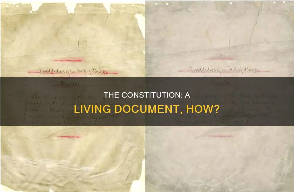 how has the constitution managed to be a living document
