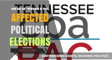 The PAC Effect: Reshaping Political Elections in the Modern Era