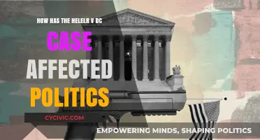 The Heller v. DC Case: A Watershed Moment in American Politics