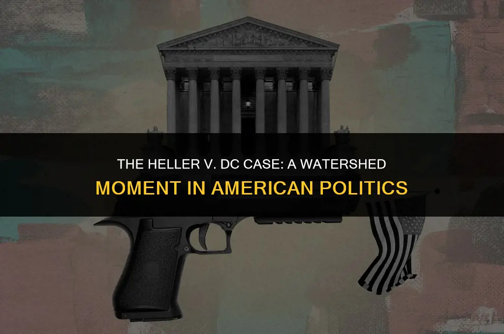 how has the helelr v dc case affected politics