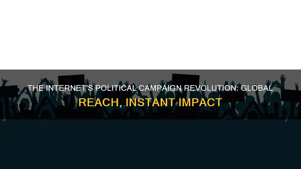 how has the internet revolutionize political campaigns