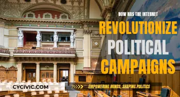 The Internet's Political Campaign Revolution: A Global Impact