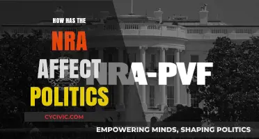 The NRA's Influence: Shaping Politics Through Advocacy and Action