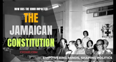 The UDHR's Influence on Jamaica's Constitution