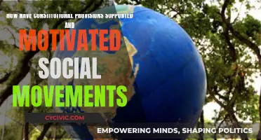 Constitutional Provisions: Fueling Social Movements