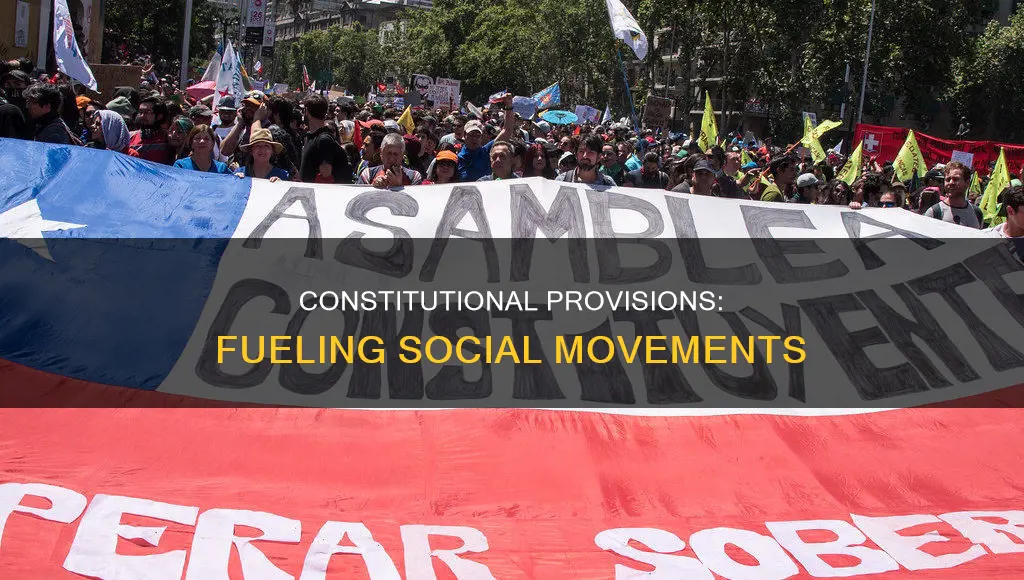 how have constitutional provisions supported and motivated social movements