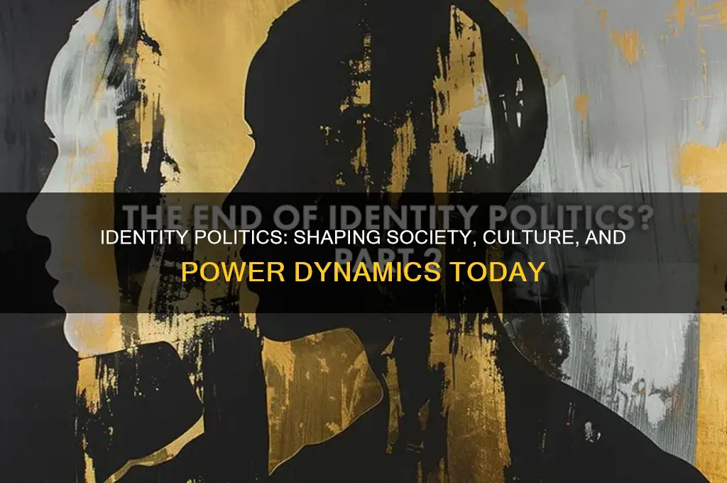 how have identity politics