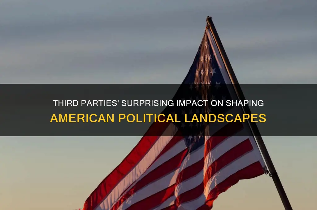 how have minor or third parties have influenced american politics