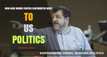 Minor Parties' Major Impact: Shaping US Politics Through Innovation and Influence
