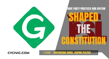 Party Practices: Shaping the Constitution