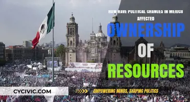 Shifting Sands: Political Turmoil and Resource Ownership in Mexico
