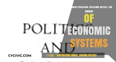 Political Landscapes: Shaping Economic Systems and Choices