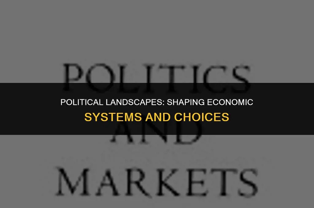 how have political systems affect the choice of economic systems