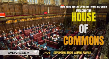 Recent Reforms: A New House of Commons?