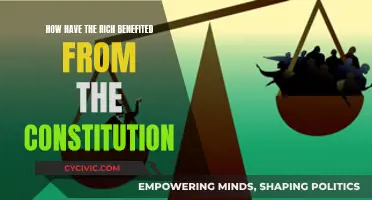 Wealth and the Constitution: Advantages for the Rich