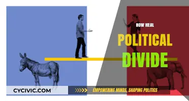 Bridging the Gap: Strategies to Heal America's Political Divide