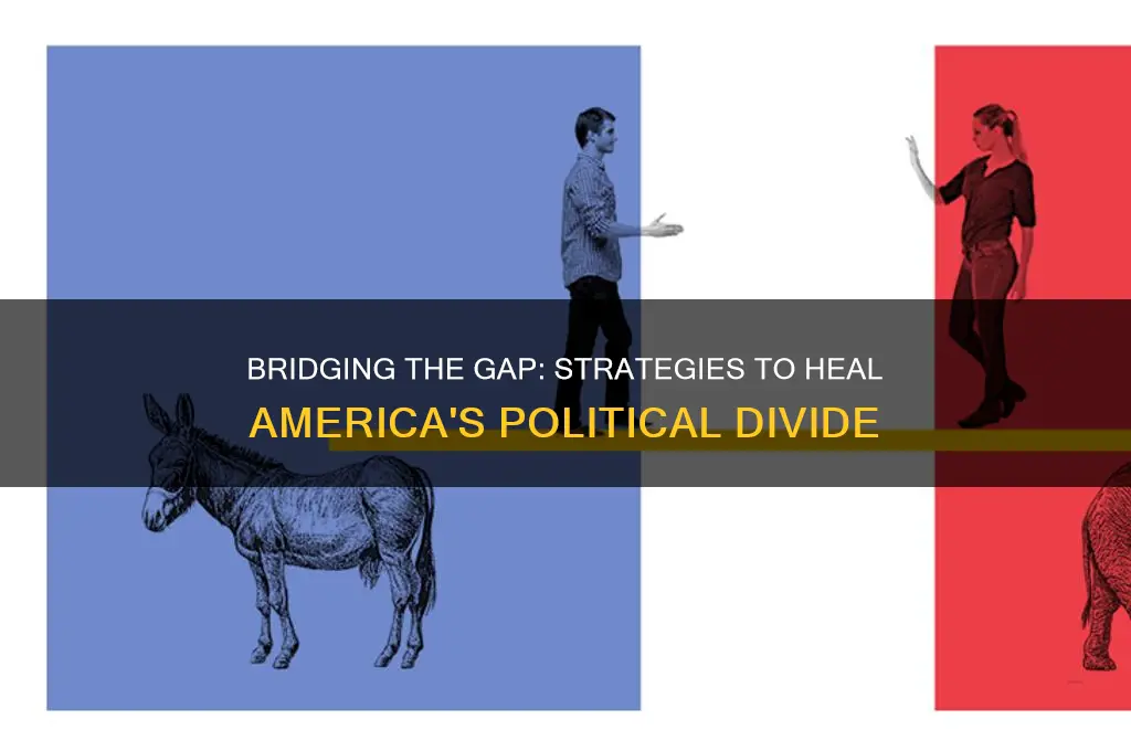 how heal political divide