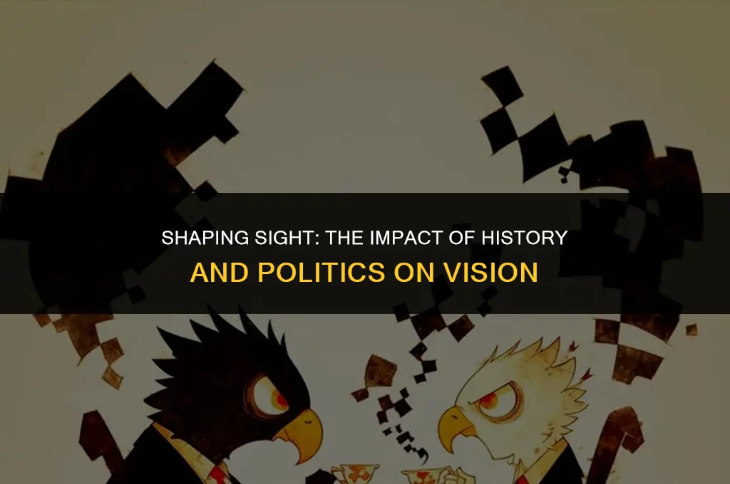 how history and politics affect vision