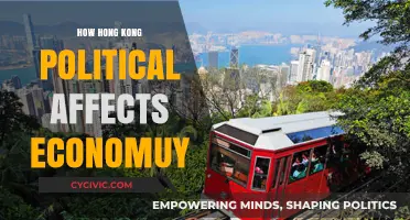 Navigating the Impact of Hong Kong's Political Climate on Its Economy