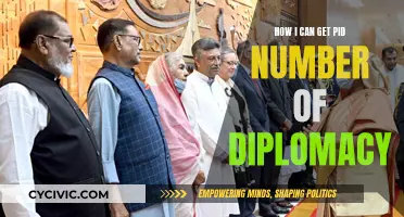 Obtaining a PID: Navigating the Diplomatic Process Efficiently