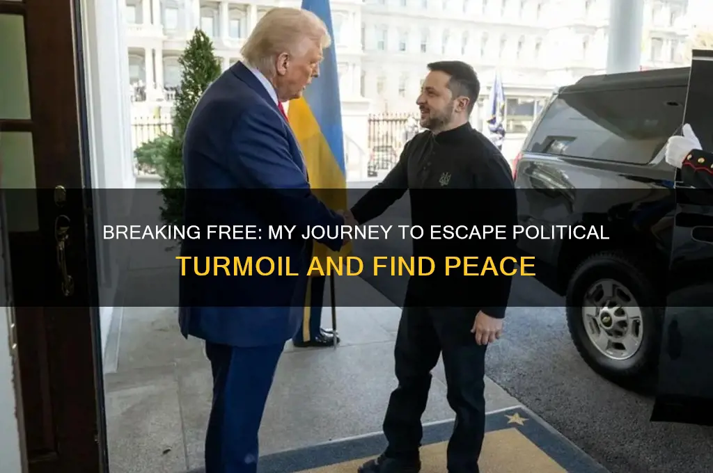 how i escaped political