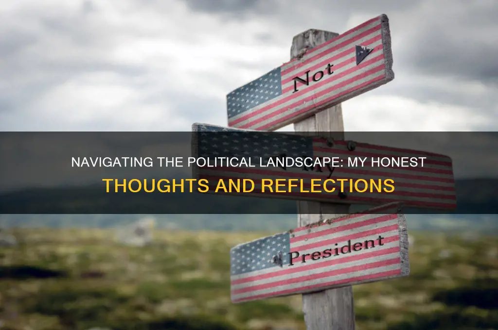 how i feel about politics