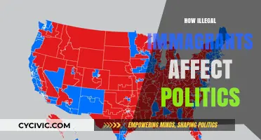 The Political Impact of Illegal Immigration: A Comprehensive Analysis