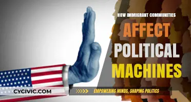 The Political Influence of Immigrant Communities: A Deep Dive