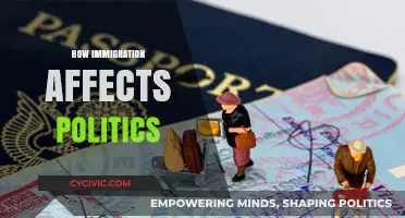 Shaping Politics: The Multifaceted Impact of Immigration on Societies