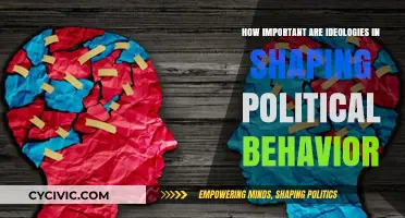 The Power of Ideologies: Shaping Political Behavior and Beliefs