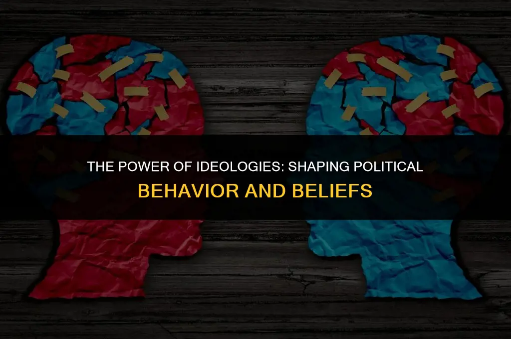 how important are ideologies in shaping political behavior