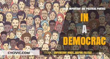 The Role and Impact of Political Parties in Democratic Systems