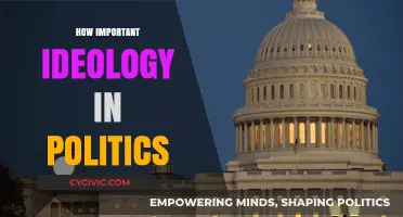 The Crucial Role of Ideology in Shaping Political Landscapes