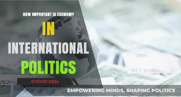 The Economy's Crucial Role in Shaping International Politics