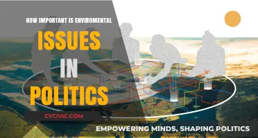 The Critical Role of Environmental Issues in Shaping Political Agendas