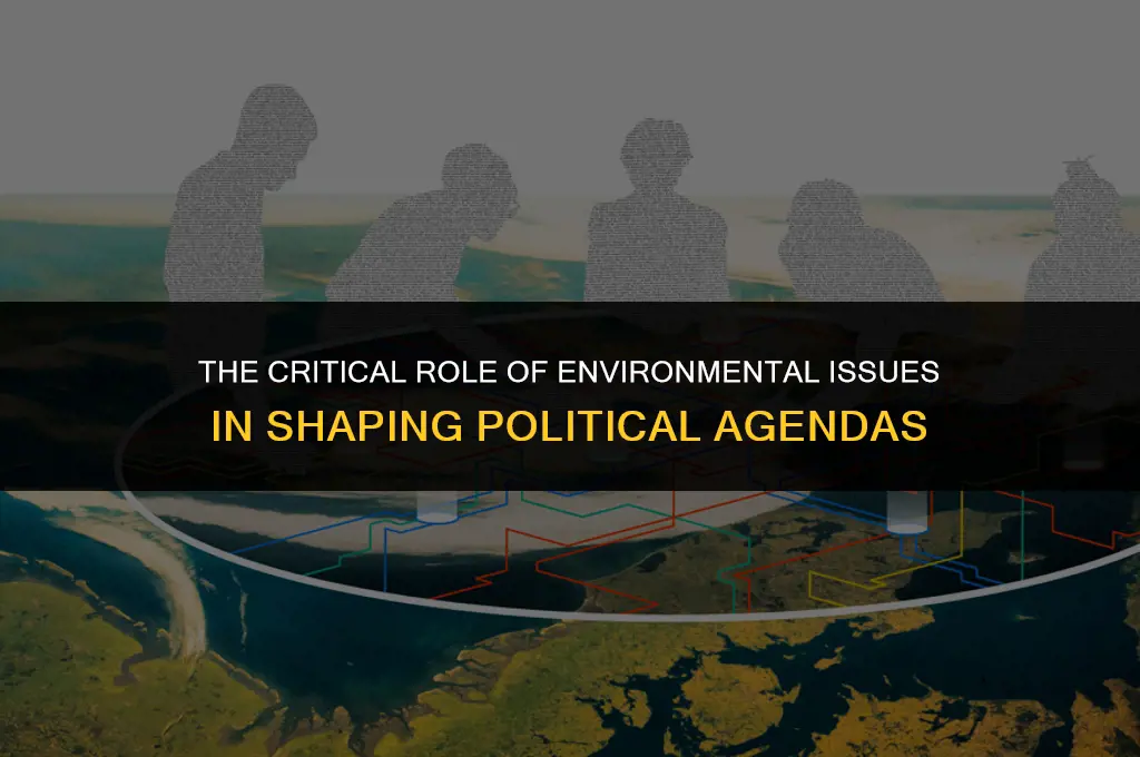 how important is enviromental issues in politics