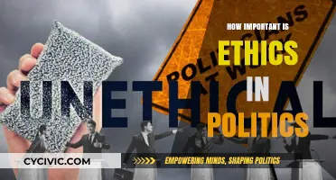Ethics in Politics: The Foundation of Trust and Governance