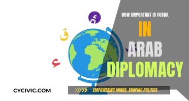 Fusha's Vital Role in Arab Diplomacy