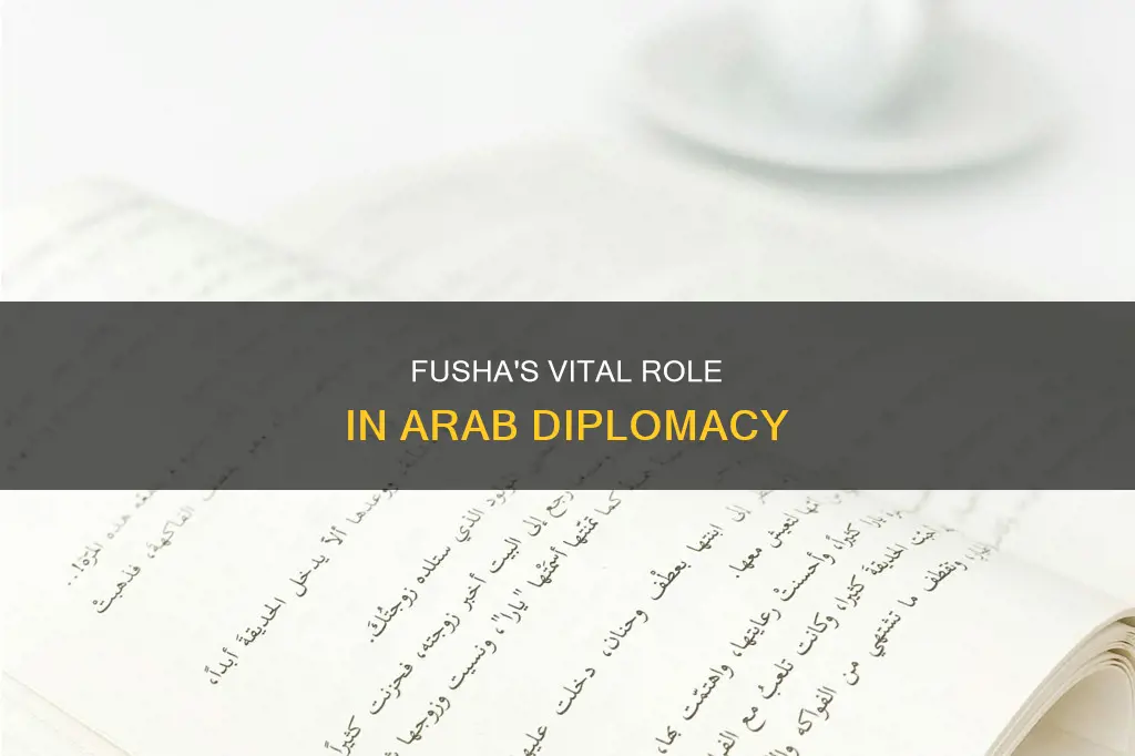how important is fusha in arab diplomacy
