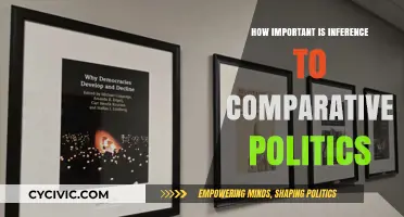 The Crucial Role of Inference in Comparative Politics Analysis