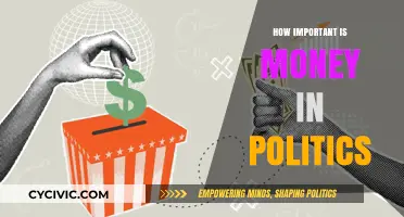 The Influence of Money in Politics: A Critical Examination